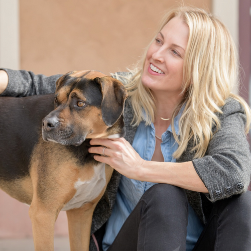 Introducing Frank’s Fresh: Healthy, Wholesome Meals for Your Furry Friend