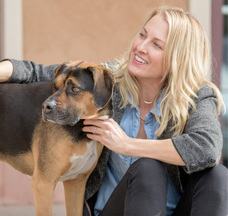 Introducing Frank’s Fresh: Healthy, Wholesome Meals for Your Furry Friend