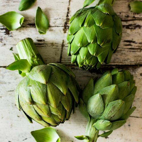 The Magic Of Magnesium