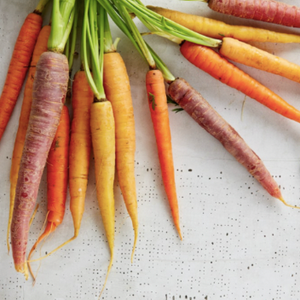 Roasted Root Vegetable Soup