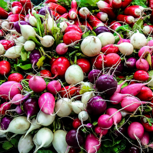 In Season:  Farmers Market Bounty