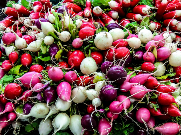 In Season:  Farmers Market Bounty